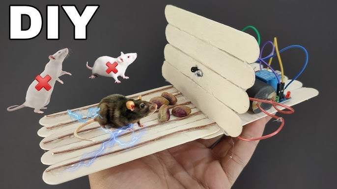 Electric Mouse Trap/Homemade Electric mouse/Mouse trap works with 12 V  battery/Mouse Reject, mouse