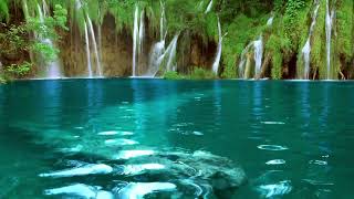 Waterfall Sounds for Sleep, Study and Relaxation by White Noise 351 views 1 year ago 1 hour