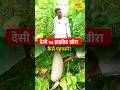 किसान ने बताया देसी और हाइब्रिड खीरे की पहचान का तरीका, लाखों की कमाई का गणित | #shorts
