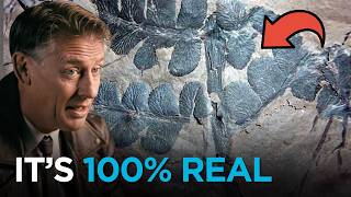 6 Mind-Blowing Discoveries That CONFIRM the Bible Is Right