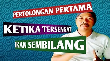 Pertolongan Pertama Sengatan Patil Ikan Sembilang