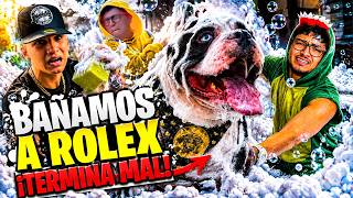 🐶 ¡El Baño de ROLEX se Salió de Control! 😱💦 ¡Juniorsito hizo un Desastre! | Los Reyes Toys
