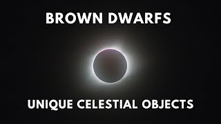 Brown Dwarfs: The Middle Children of the Universe