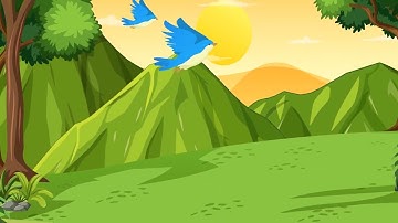 Bird flying animation 2d  | adobe animate cc 2021 | stock footages |