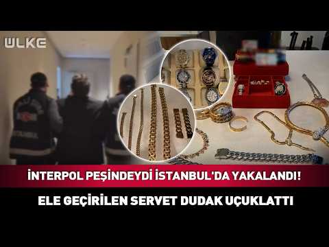 Wanted by Interpol, Caught in Istanbul! The Fortune Seized Is Mind-Blowing