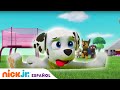 PAW Patrol | ¡El Mejor Día de todos! - parte 2 | Nick Jr.