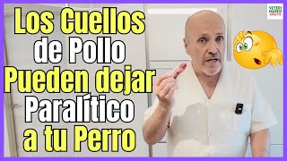 INCREIBLE DESCUBRIMIENTO  PARALISIS EN PERROS POR INTOXICACIÓN CON CUELLOS DE POLLO