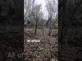 Ukrainian military checks traces of Russian artillery attacks in their defense line area #shorts