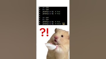 파이썬 공식 문서, 비밀의 미친 동작🔥 #codling #python