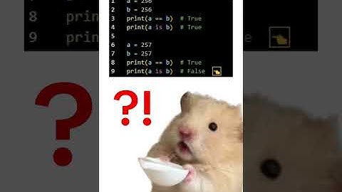 파이썬 공식 문서, 비밀의 미친 동작🔥 #codling #python