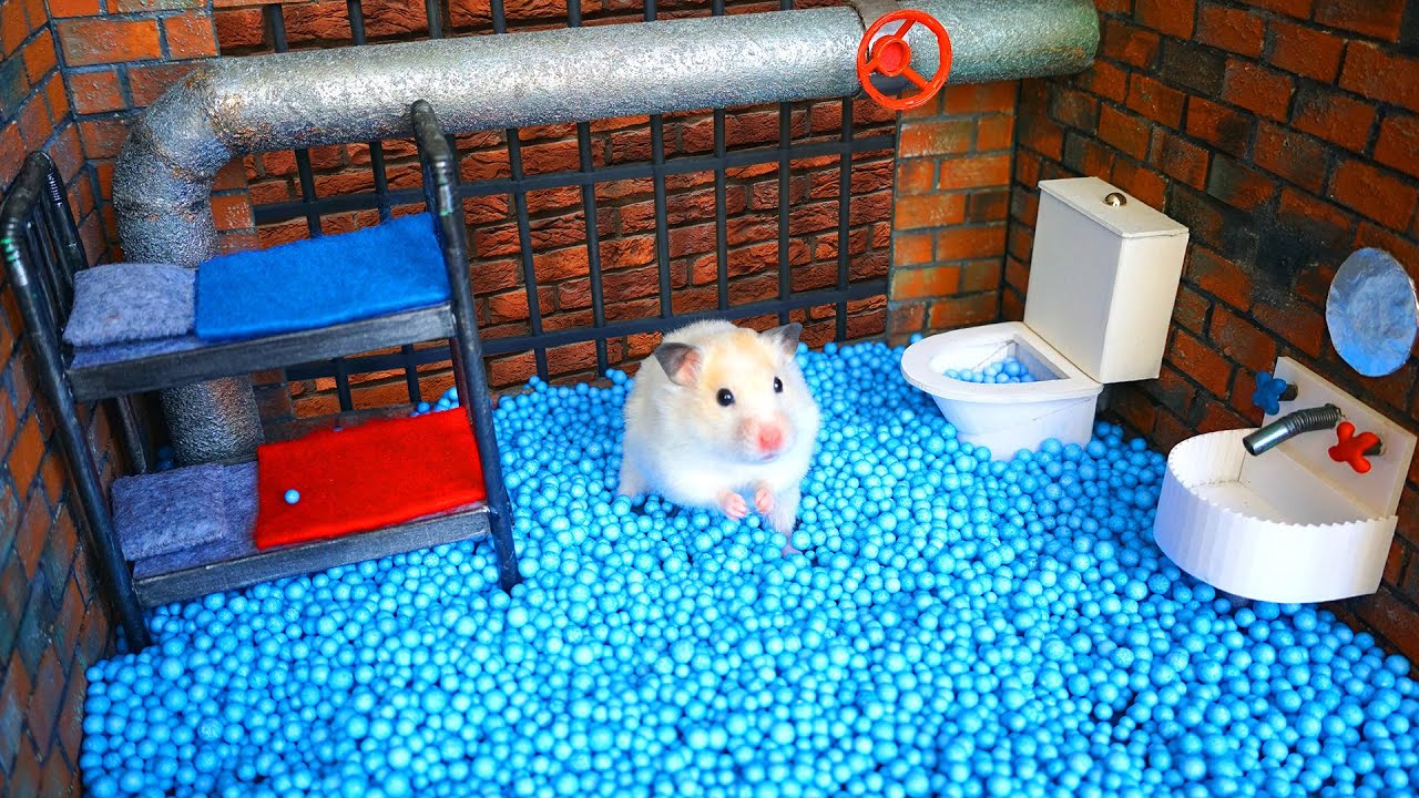 ⁣Hamster Maze - Great Escape
