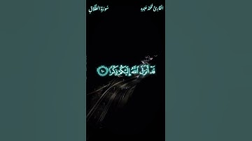 عشائيات القارئ محمد عبده🤍🌿  سورة الطلاق🤍🌿  رَسُولًا يَتْلُ