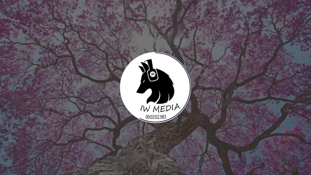 Justice Skolnik - Miss You