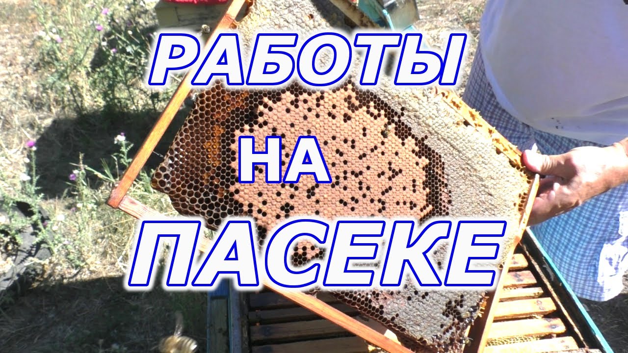 Подготовка улья к приходу осени