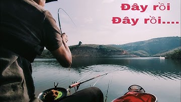 Câu Đài Tự Nhiên | Câu cá rô phi cá trôi đập tự nhiên Cực Nhiều Cực Phê...