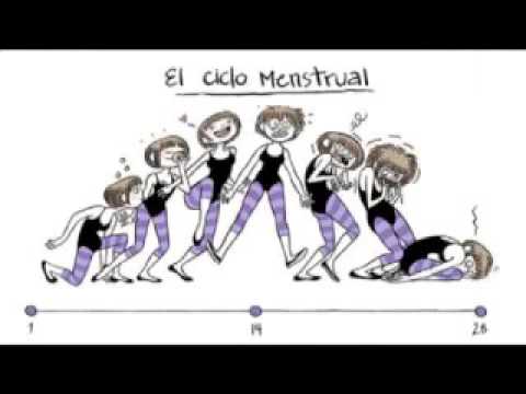 Entrenamiento para mujeres: El ciclo menstrual y su influencia en tus entrenamientos y la dieta. video phone beyonce mp3