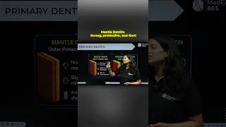 Meet the mantle dentin. @DentalDreams-00 #physicswallah #pwmededbds #pw #trending