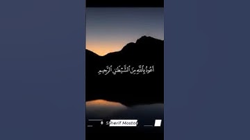 سوره الفجر مع صوت شريف مصطفى🥰