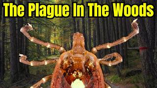How And Why The Lone Star Ticks Are Such A Problem