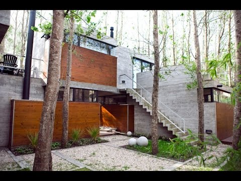 beautiful-modern-house-design-built-surrounded-by-its-original-uncut-trees