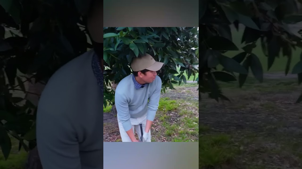 I did get it through the bunker. Technically