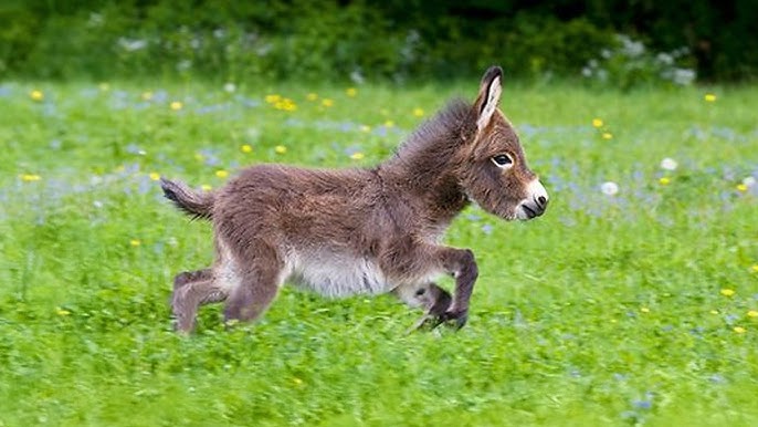 Анасы мен қызы онымен жыныстық қатынасқа түседі Порно көру тамаша