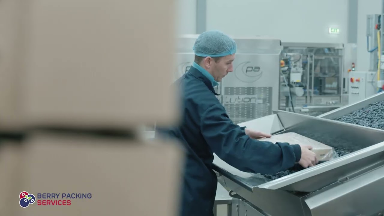 Berry Packing Services 2023   SHORT NEW