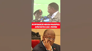 MEMBE Wasafi Mama Yanga Simbasc Shorts Word Live News Duet Alutemedia 