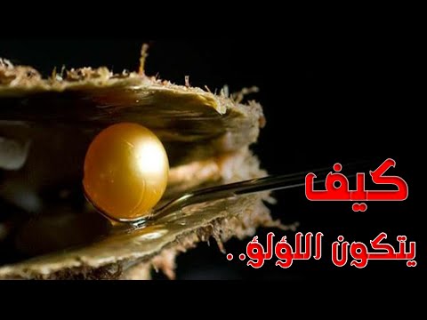 كيف يتكون اللؤلؤ داخل المحار يخرج منهما اللؤلؤ والمرجان سبحان الله
