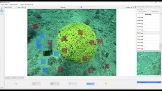 CoralNet Toolbox - 0.0.1 - Demo 1