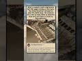 HOW TO TURN ROT INTO GOLD