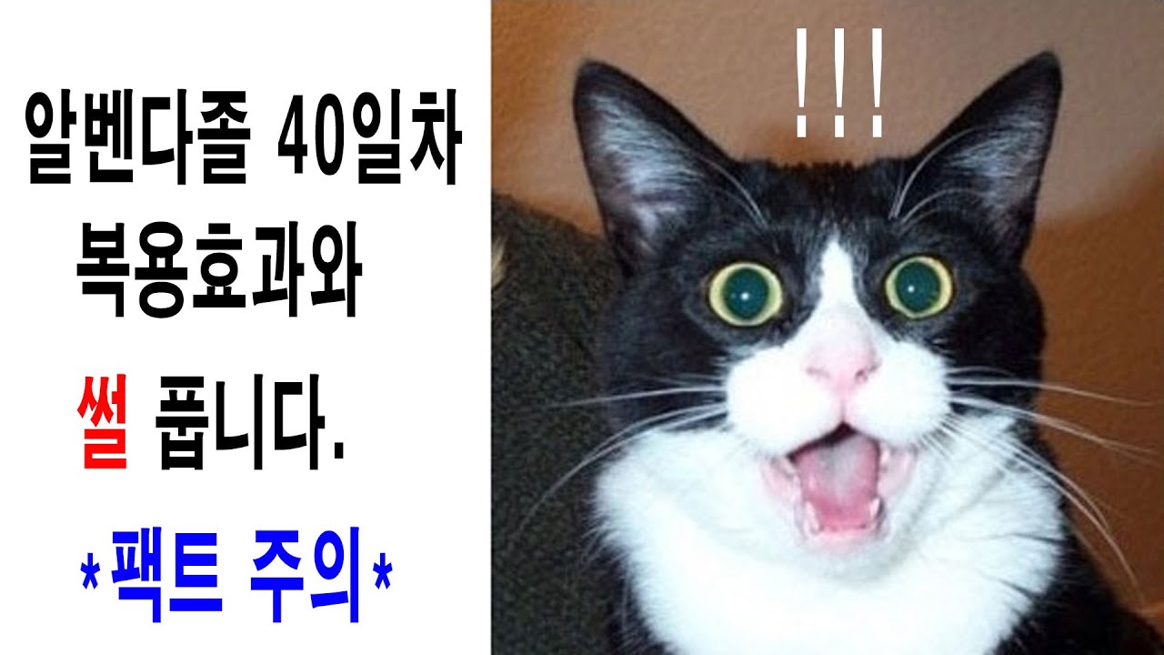 알벤다졸 40일차 복용효과!!! /펜벤다졸/건강/항암/항염/통풍/변비/다이어트/