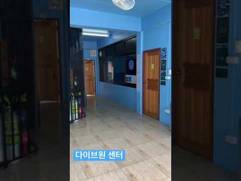 꼬따오 다이브원 스쿠버다이빙 센터!