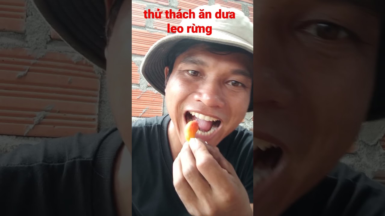 thử thách ăn dưa leo rừng #016 #shorts - youtube
