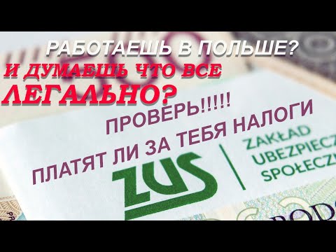 Платят ли за тебя налоги ZUS в Польше? Как проверить?
