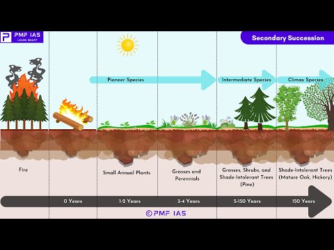 [E003] Functions of Ecosystem, Ecological Succession, Primary & Secondary Succession & Homeostasis