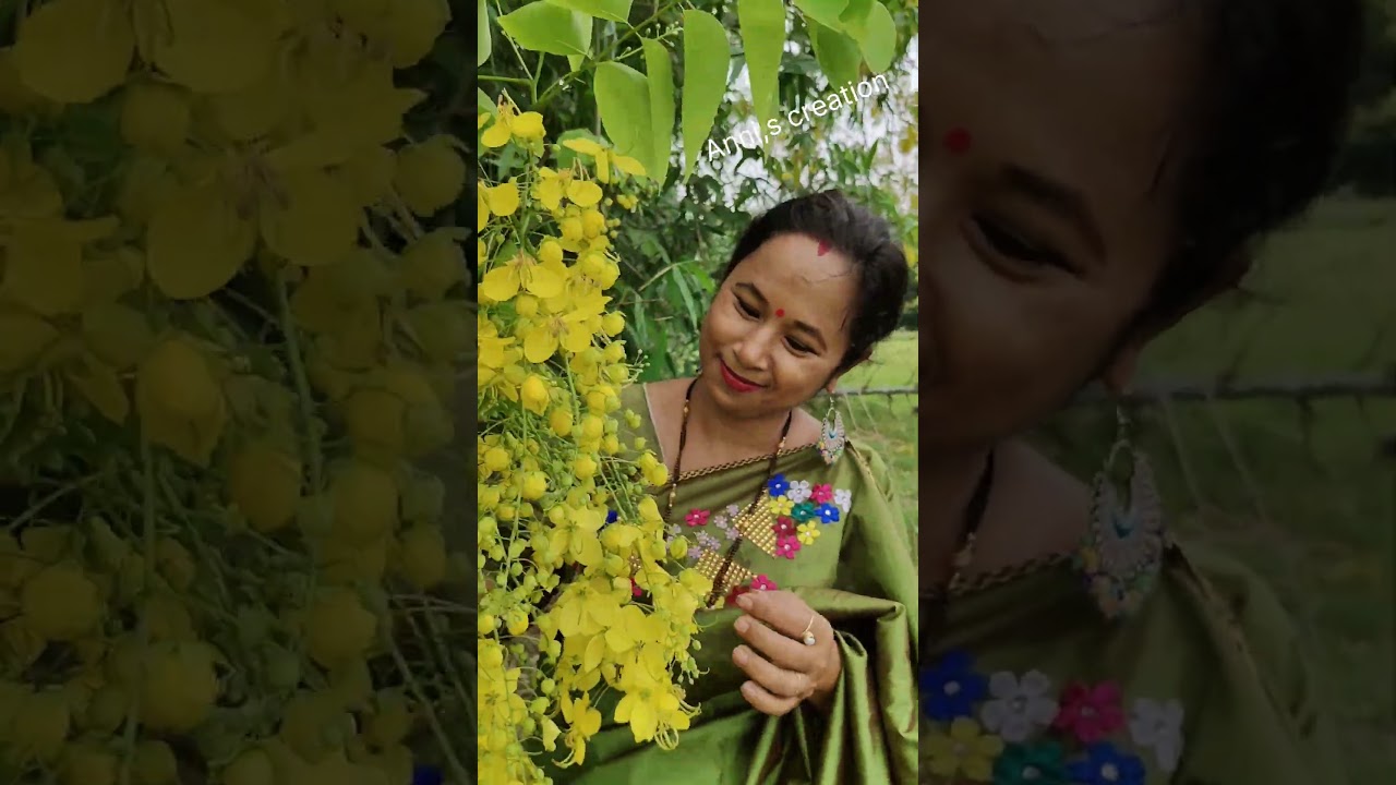 Beautiful sonar ##shortvideo #vlog #flower#shorts#short#reels#trending#shortfeed#designer#fashion