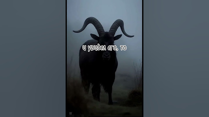 если ходил по заброшке и услышал АЗАН, а потом увидел его то...🤭💗
