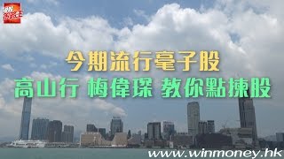 【封面故事】今期流行毫子股 高山行 梅偉琛 教你點揀股