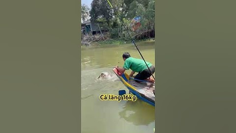 Cá lăng đui đỏ 16kg.   #dammecauca #fishing #câucá #mientay