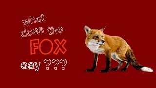 What Does the Fox Say??? - Unofficial Tribute Video