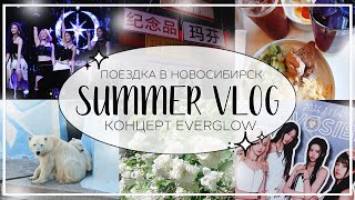 🎥 summer vlog: поездка в новосибирск, концерт everglow, зоопарк, музеи и кафе