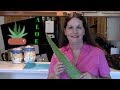 How To Store Fresh Aloe Vera Gel
