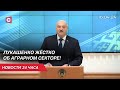 Лукашенко пригрозил чиновникам за падеж скота! | Крупное ДТП в Беларуси | Новости 16.04