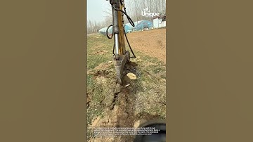 Powerful excavator removes stubborn tree roots