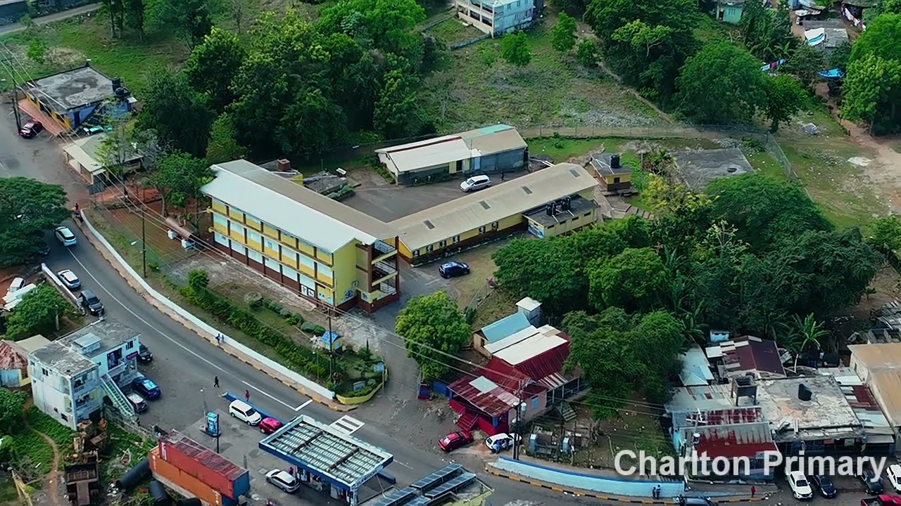 Aerial Tour of Alexandria Community, St. Ann, Jamaica - Drone Footage