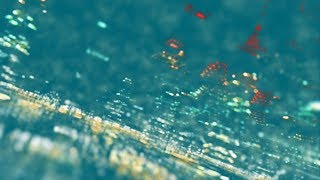 EJERCICIO4: TRAPCODE FORM CITY