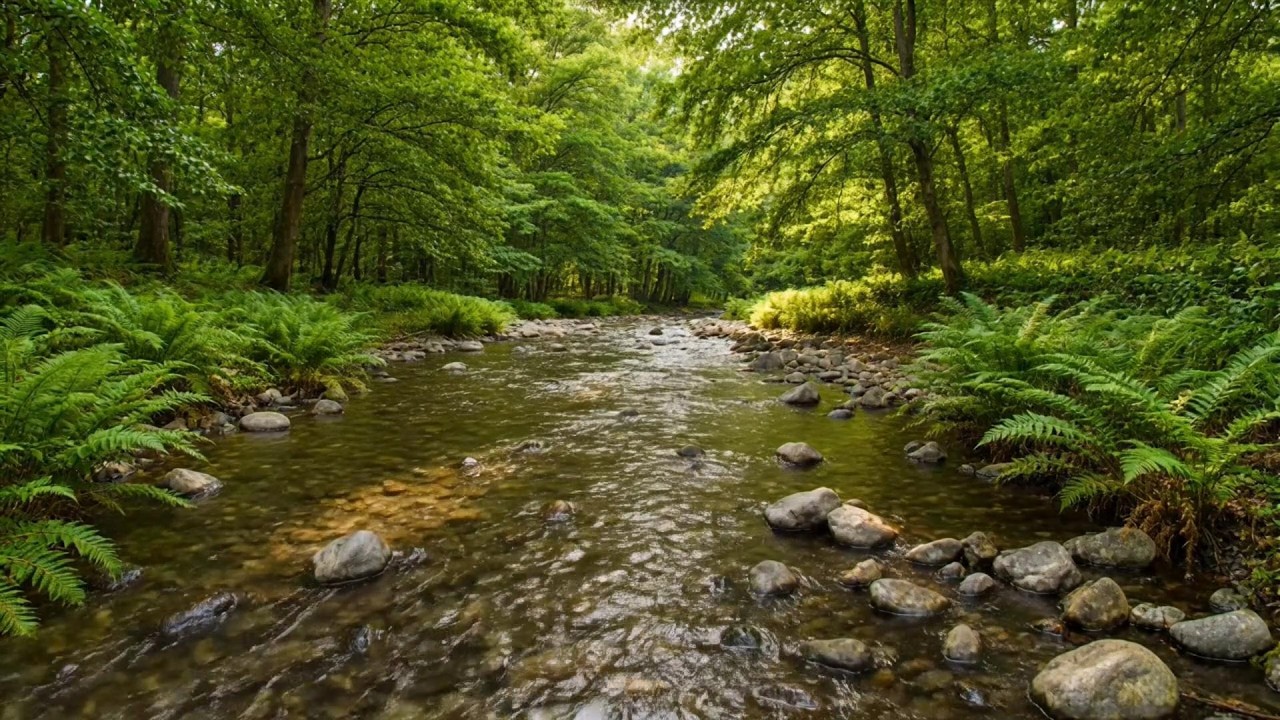 Calm Ambient Music to Stay Focused While Studying