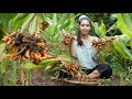 Dig Turmeric in my homeland - Healthy vegetable