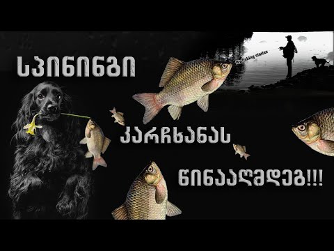 სპინინგი კარჩხანას წინააღმდეგ